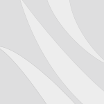 Ragmeister Ragdolls Launches New Website